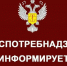 Открыта «горячая линия» по вопросам профилактики ВИЧ - инфекции. - Новохопёрский район