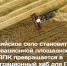 Сельское хозяйство как залог суверенитета и стратегический ресурс для технологического лидерства страны: вызовы и решения. - Новохопёрский район